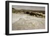 Large Fossil Ammonites on the Beach-null-Framed Photographic Print