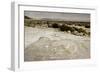 Large Fossil Ammonites on the Beach-null-Framed Photographic Print