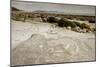 Large Fossil Ammonites on the Beach-null-Mounted Photographic Print