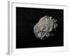 Large Grey Meteorite in the Universe Full of Stars-null-Framed Art Print