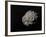 Large Grey Meteorite in the Universe Full of Stars-null-Framed Art Print