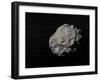 Large Grey Meteorite in the Universe Full of Stars-null-Framed Art Print