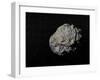 Large Grey Meteorite in the Universe Full of Stars-null-Framed Art Print