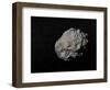 Large Grey Meteorite in the Universe Full of Stars-null-Framed Art Print