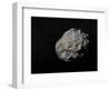 Large Grey Meteorite in the Universe Full of Stars-null-Framed Art Print