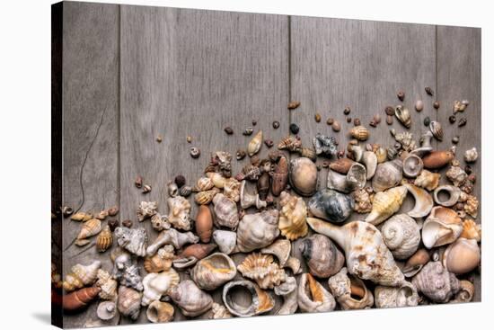 Large Group of Conchs and Shells over a Wooden Background-ccaetano-Stretched Canvas