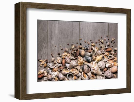 Large Group of Conchs and Shells over a Wooden Background-ccaetano-Framed Photographic Print