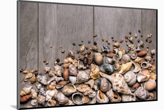 Large Group of Conchs and Shells over a Wooden Background-ccaetano-Mounted Photographic Print