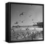 Large Group of Sea Gulls Flying Around and on the Beach-Eliot Elisofon-Framed Stretched Canvas