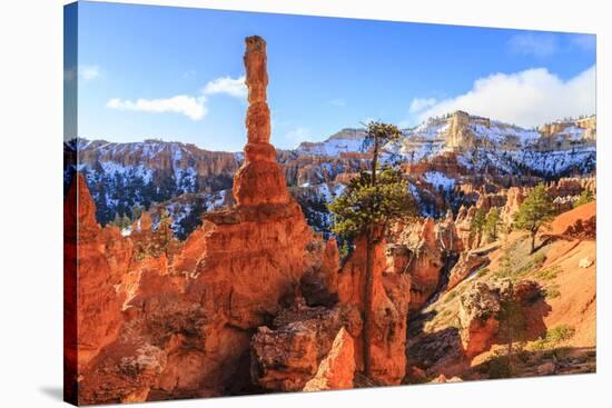 Large Hoodoo Lit by Early Morning Sun, with Snow and Pine Trees, Peekaboo Loop Trail-Eleanor Scriven-Stretched Canvas