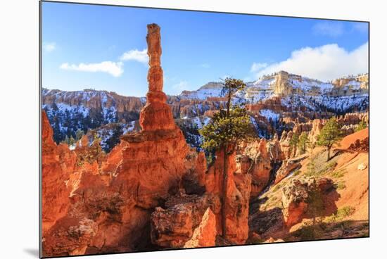 Large Hoodoo Lit by Early Morning Sun, with Snow and Pine Trees, Peekaboo Loop Trail-Eleanor Scriven-Mounted Photographic Print