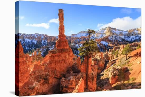 Large Hoodoo Lit by Early Morning Sun, with Snow and Pine Trees, Peekaboo Loop Trail-Eleanor Scriven-Stretched Canvas
