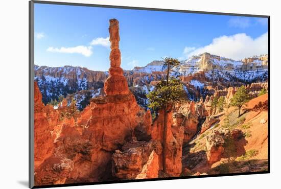 Large Hoodoo Lit by Early Morning Sun, with Snow and Pine Trees, Peekaboo Loop Trail-Eleanor Scriven-Mounted Photographic Print