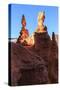 Large Hoodoos Strongly Lit by Early Morning Sun in Winter-Eleanor-Stretched Canvas