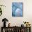 Large icebergs floating in the Bellingshausen Sea, Antarctica-Michael Nolan-Photographic Print displayed on a wall