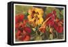 Large Indian Cress-null-Framed Stretched Canvas