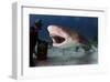 Large Lemon Shark Attacking-null-Framed Art Print