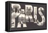 Large Letter Paris Scenes-null-Framed Stretched Canvas