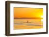 Large male Orca at sunset from Pod of resident Orca Whales in Haro Strait near San Juan Island, Was-Stuart Westmorland-Framed Photographic Print
