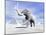 Large Mammoth Walking Slowly on the Snowy Mountain Against the Wind-null-Mounted Art Print