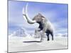 Large Mammoth Walking Slowly on the Snowy Mountain Against the Wind-null-Mounted Art Print