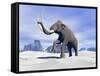 Large Mammoth Walking Slowly on the Snowy Mountain-null-Framed Stretched Canvas