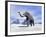 Large Mammoth Walking Slowly on the Snowy Mountain-null-Framed Art Print