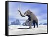 Large Mammoth Walking Slowly on the Snowy Mountain-null-Framed Stretched Canvas