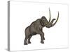 Large Mammoth, White Background-null-Stretched Canvas