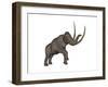 Large Mammoth, White Background-null-Framed Art Print