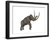 Large Mammoth, White Background-null-Framed Art Print