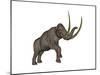 Large Mammoth, White Background-null-Mounted Art Print