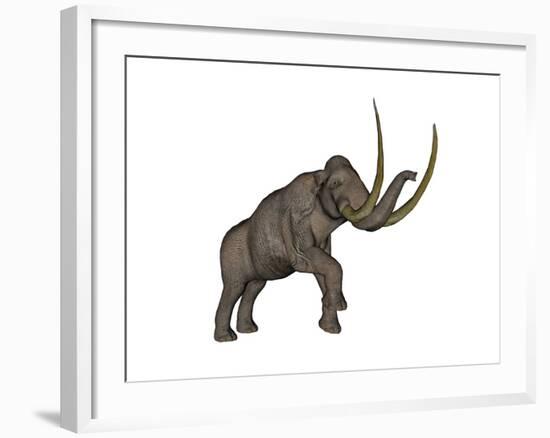 Large Mammoth, White Background-null-Framed Art Print