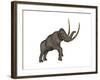 Large Mammoth, White Background-null-Framed Art Print