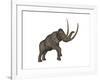 Large Mammoth, White Background-null-Framed Art Print