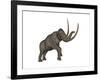 Large Mammoth, White Background-null-Framed Art Print