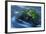 Large Moss Covered Rock Slow Swirling Water-Anthony Paladino-Framed Giclee Print