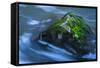 Large Moss Covered Rock Slow Swirling Water-Anthony Paladino-Framed Stretched Canvas
