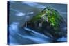Large Moss Covered Rock Slow Swirling Water-Anthony Paladino-Stretched Canvas
