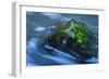 Large Moss Covered Rock Slow Swirling Water-Anthony Paladino-Framed Giclee Print