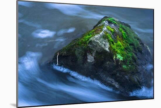 Large Moss Covered Rock Slow Swirling Water-Anthony Paladino-Mounted Giclee Print