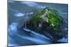 Large Moss Covered Rock Slow Swirling Water-Anthony Paladino-Mounted Giclee Print