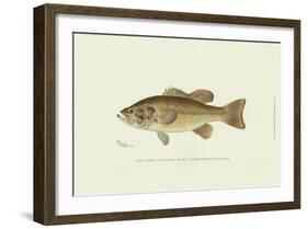 Large-Mouthed Black Bass-Denton-Framed Art Print