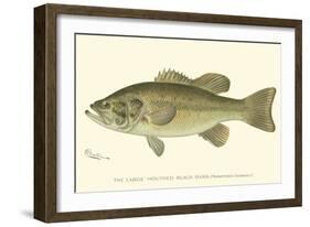 Large-Mouthed Black Bass-Denton-Framed Art Print