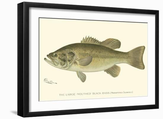 Large-Mouthed Black Bass-Denton-Framed Art Print