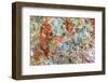 Large, naturally polished rock with lichen. Lower Deschutes River, Central Oregon, USA-Stuart Westmorland-Framed Photographic Print