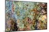 Large naturally polished rock with lichen, Lower Deschutes River, Central Oregon, USA-Stuart Westmorland-Mounted Photographic Print