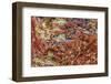 Large naturally polished rock with lichen, Lower Deschutes River, Central Oregon, USA-Stuart Westmorland-Framed Photographic Print