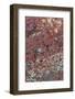 Large, naturally polished rock with lichen. Lower Deschutes River, Central Oregon, USA-Stuart Westmorland-Framed Photographic Print