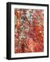 Large, naturally polished rock with lichen. Lower Deschutes River, Central Oregon, USA-Stuart Westmorland-Framed Photographic Print